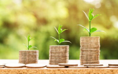The Best Ways to Build Your Nonprofit’s Endowment Fund